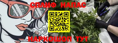 индика Вязники