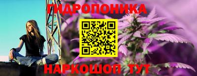 индика Вязники